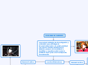 ECOLOGIA DE SABERES