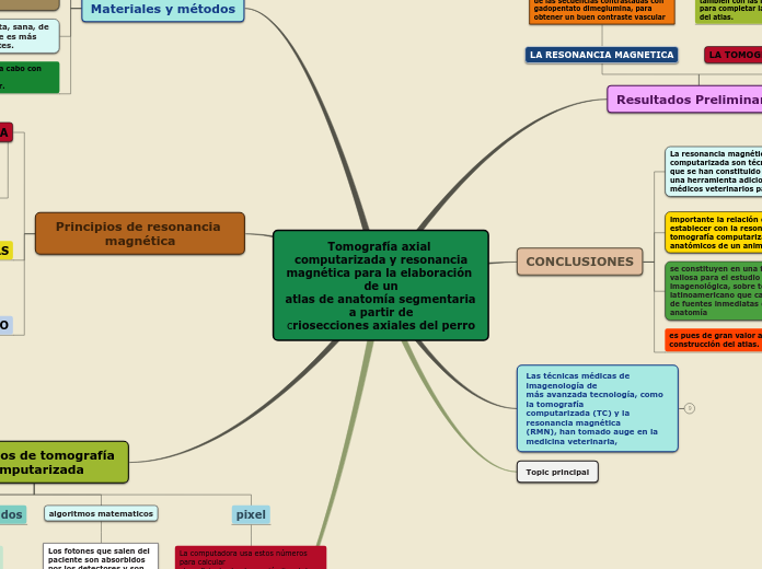 Tomografía axial computarizada y resona...- Mapa Mental