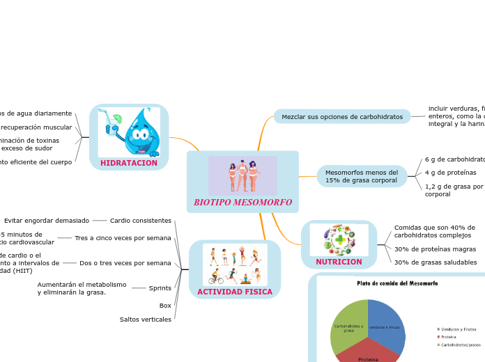 BIOTIPO MESOMORFO