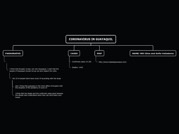 CORONAVIRUS IN GUAYAQUIL - Mind Map