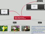 Тема. Вегетативне розмноження ро...- Мыслительная карта