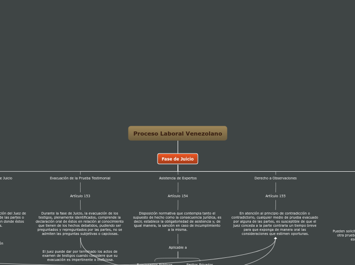 Proceso Laboral Venezolano