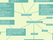 Exploración física del abdomen - Mapa Mental