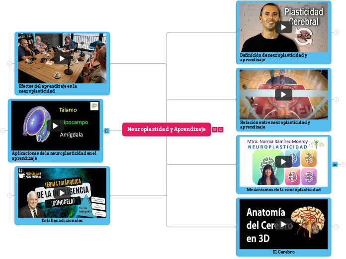 Neuroplastidad y Aprendizaje