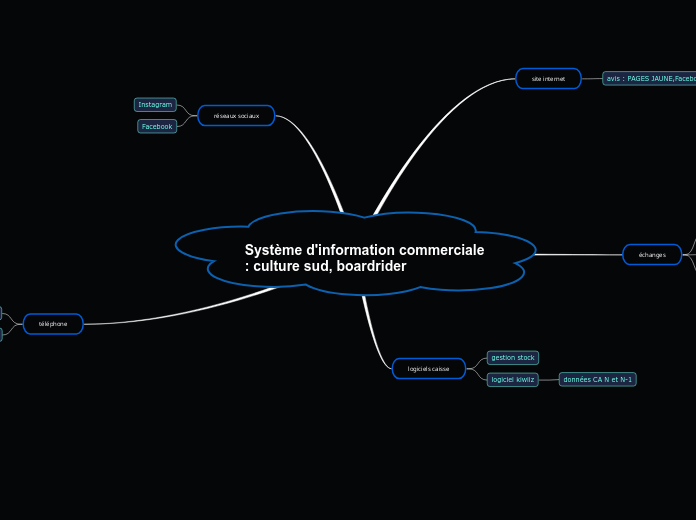 Système d'information commerciale : culture sud, boardrider