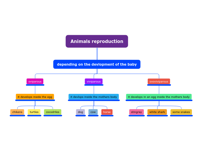 Animals reproduction