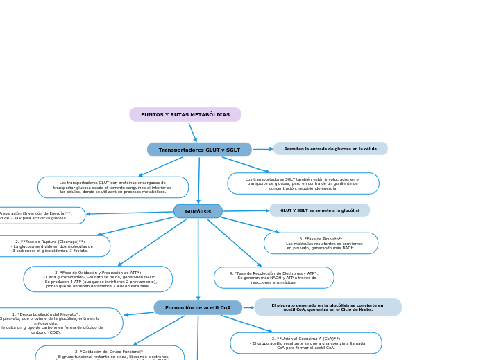 PUNTOS Y RUTAS METABÓLICAS