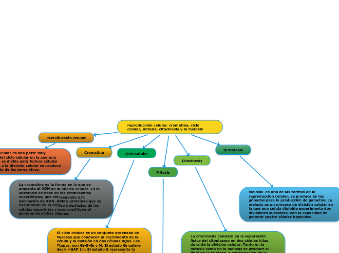 reproducción celular, cromatina, ciclo celular, mitosis, citocinesis y la meiosis