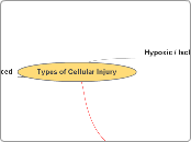 Types of Cellular Injury