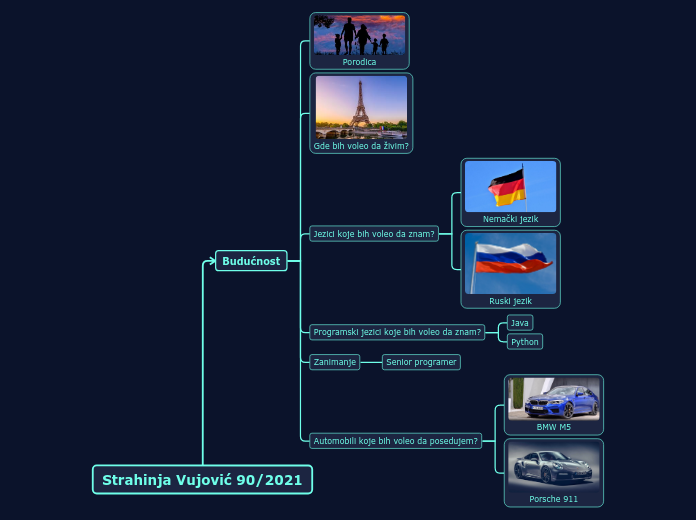 Strahinja Vujović 90/2021 - Mind Map