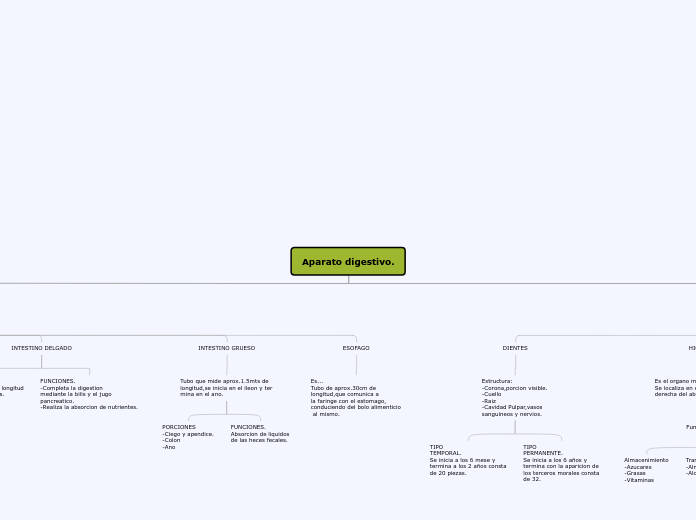 Aparato digestivo. - Mapa Mental