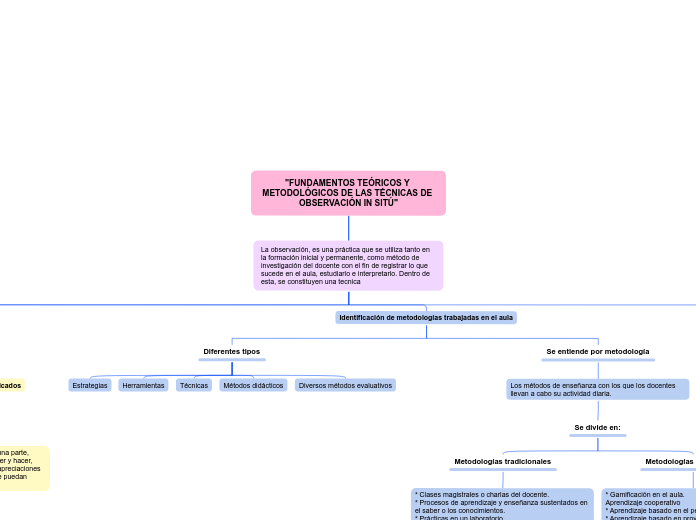 "FUNDAMENTOS TEÓRICOS Y METODOLÓGICOS DE LAS TÉCNICAS DE OBSERVACIÓN IN SITÚ"