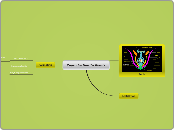 Reproduction In Plants