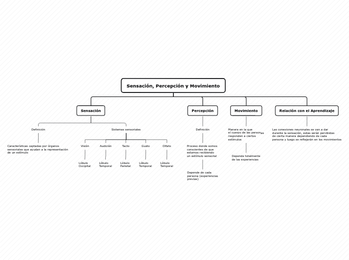 Sensación, Percepción y Movimiento - Mapa Mental