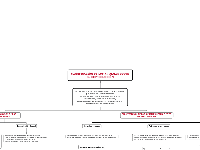 CLASIFICACIÓN DE LOS ANIMALES SEGÚN SU REPRODUCCIÓN