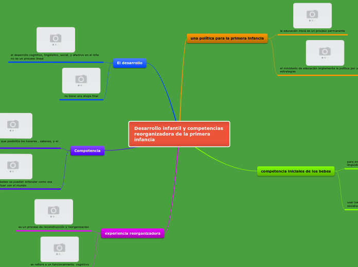 Desarrollo infantil y competencias reorganizadora de la primera infancia