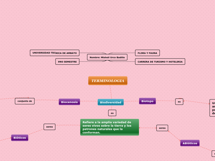 TERMINOLOGIA - Mapa Mental