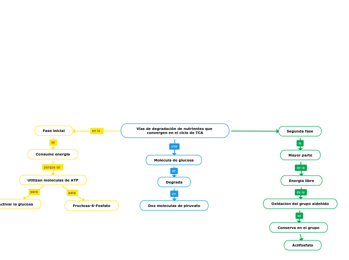 Vías de degradación de nutrientes que c...- Mapa Mental