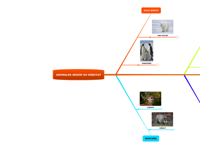 ANIMALES SEGÚN SU HÁBITAT