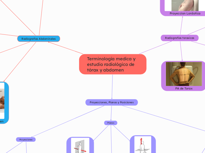 Terminología medica y estudio radiológico de tórax y abdomen