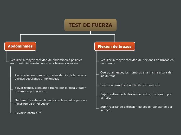 TEST DE FUERZA - Mapa Mental