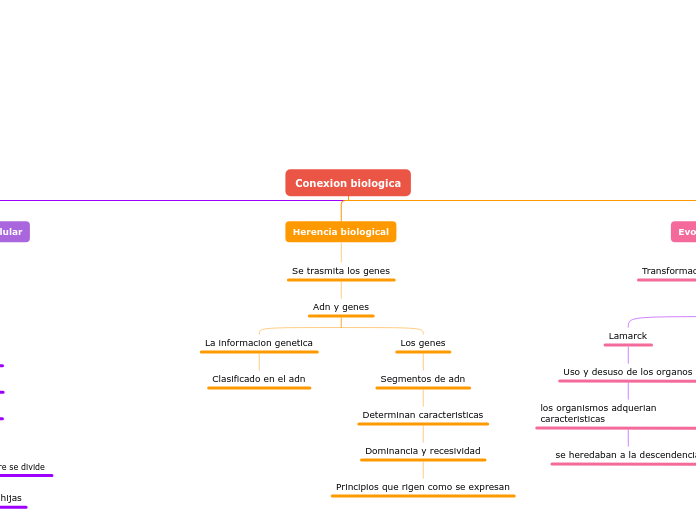 Conexion biologica