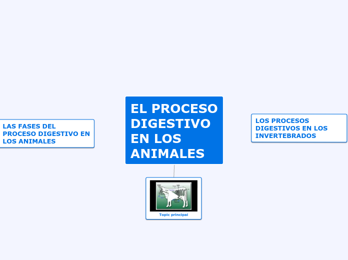 EL PROCESO DIGESTIVO EN LOS ANIMALES