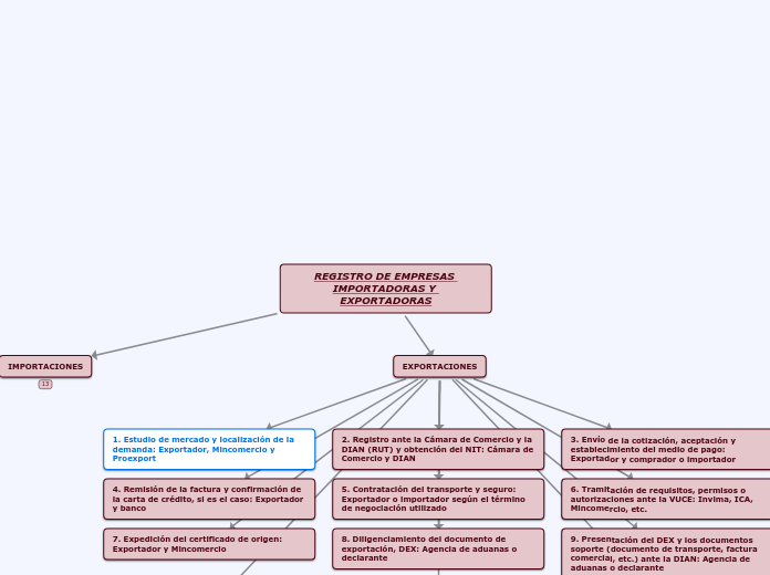 REGISTRO DE EMPRESAS IMPORTADORAS Y EXP...- Mapa Mental