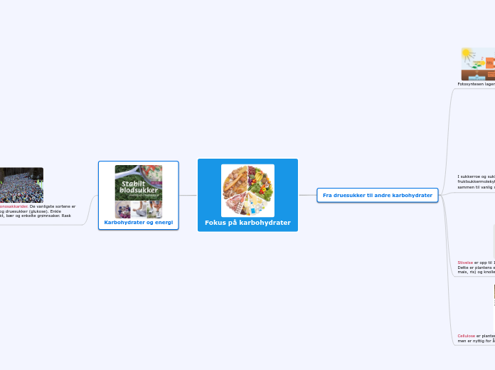 Fokus på karbohydrater