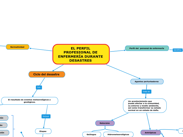 EL PERFIL PROFESIONAL DE ENFERMERÍA DUR...- Mapa Mental