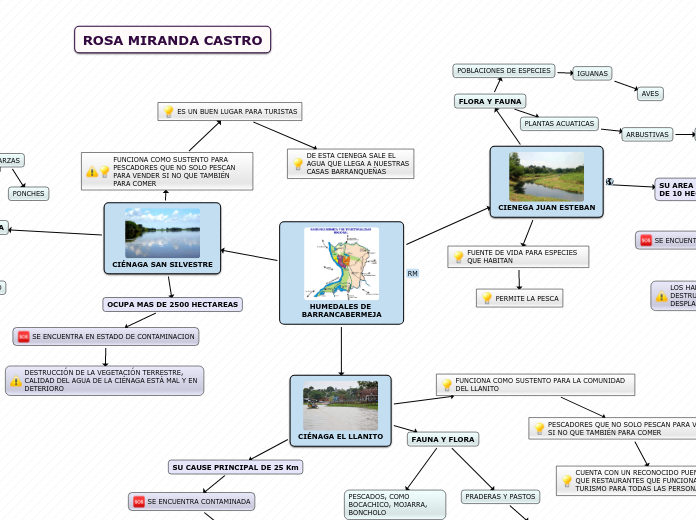 HUMEDALES DE BARRANCABERMEJA - Mapa Mental