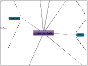 Transport in Plants