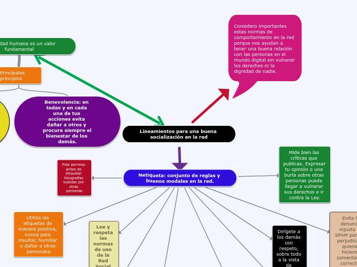 Lineamientos para una buena socializaci...- Mapa Mental