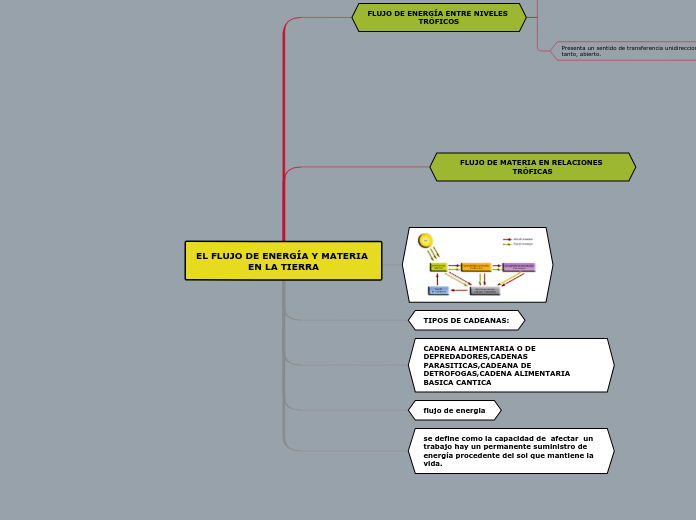 EL FLUJO DE ENERGÍA Y MATERIA EN LA TIERRA