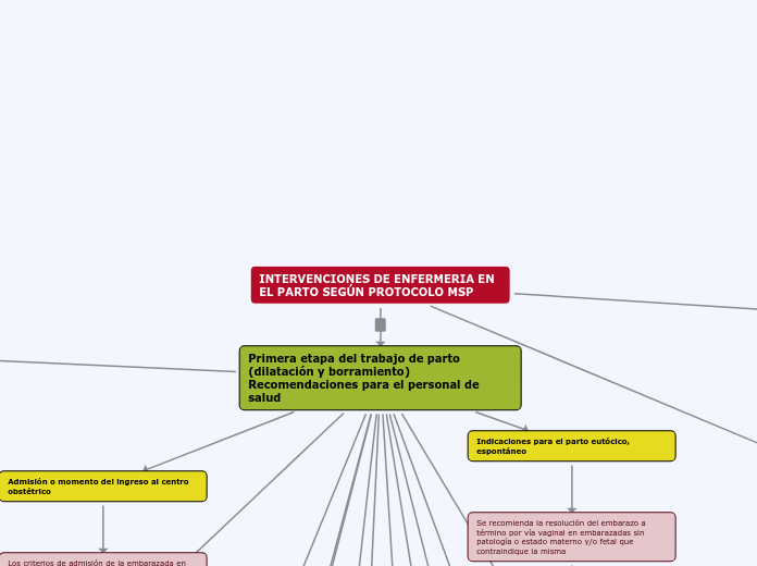 INTERVENCIONES DE ENFERMERIA EN EL PARTO SEGÚN PROTOCOLO MSP