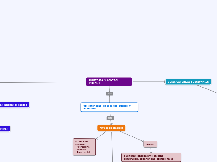 AUDITORIA  Y CONTROL INTERNO - Mapa Mental