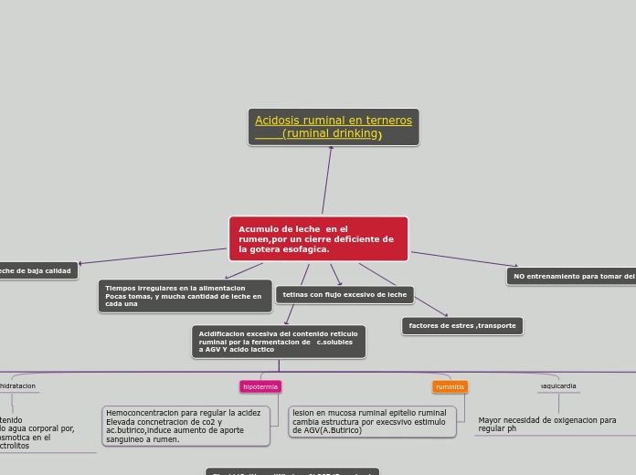 Acumulo de leche  en el rumen,por un cierre deficiente de la gotera esofagica.