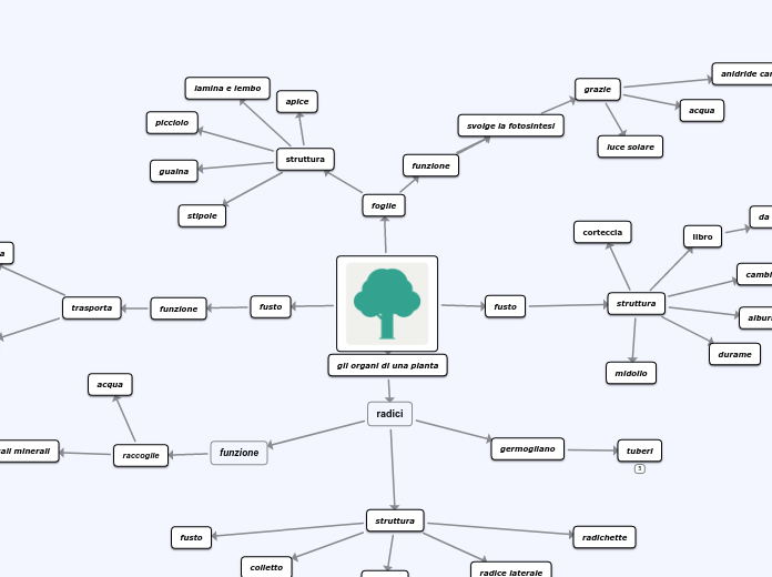 Mappa Concettuale - Schema