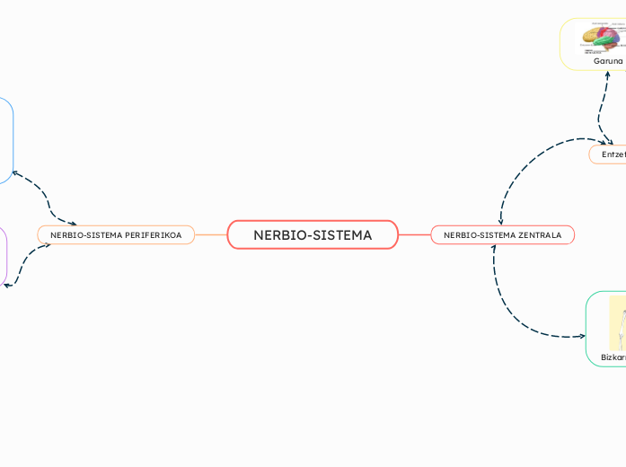 NERBIO-SISTEMA