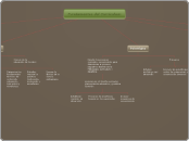 Mapa conceptual Diseño Curricular