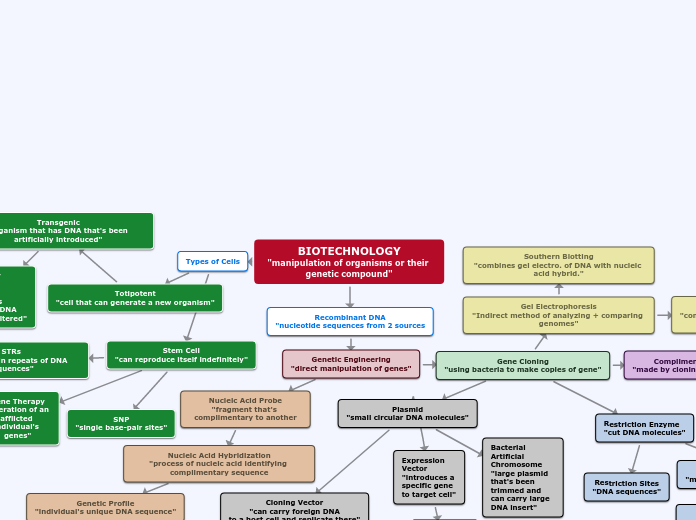 BIOTECHNOLOGY
"manipulation of organisms o...- Mind Map