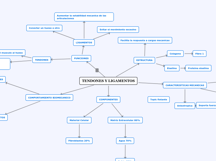 TENDONES Y LIGAMENTOS