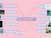 “Conceptos medio Ambientales” - Mapa Mental