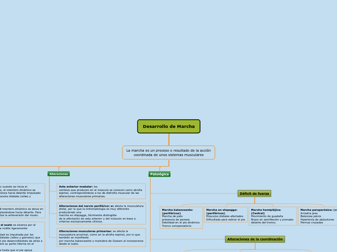 Desarrollo de Marcha - Mapa Mental