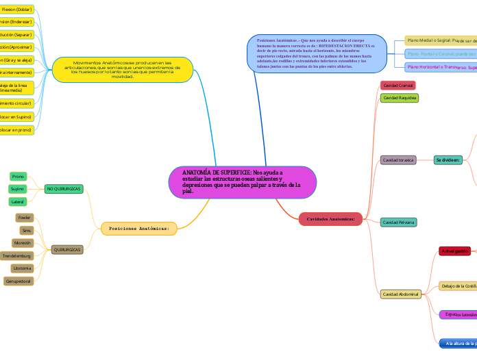 ANATOMÍA DE SUPERFICIE: Nos ayuda a est...- Mapa Mental