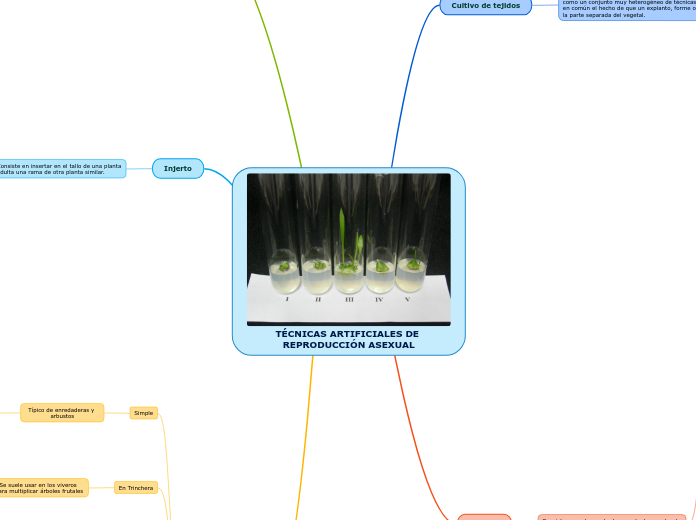 TÉCNICAS ARTIFICIALES DE REPRODUCCIÓN ASEXUAL
