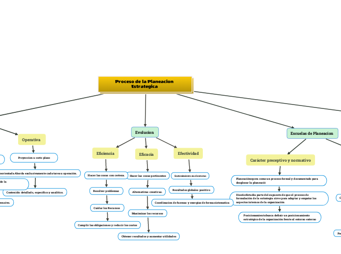 Proceso de la Planeacion Estrategica 