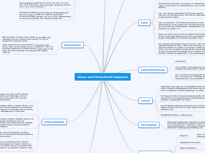 elever med flerkulturell bakgrunn