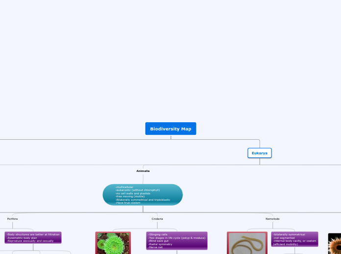 Organigram