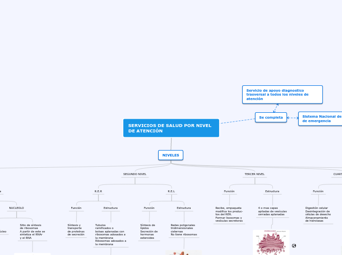 SERVICIOS DE SALUD POR NIVEL DE ATENCIÓ...- Mapa Mental